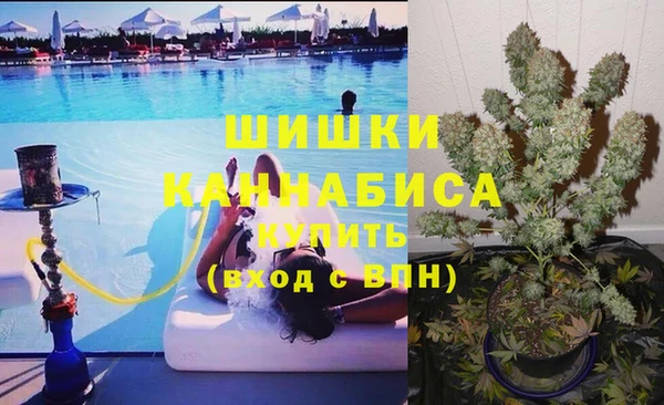 гидра Козельск