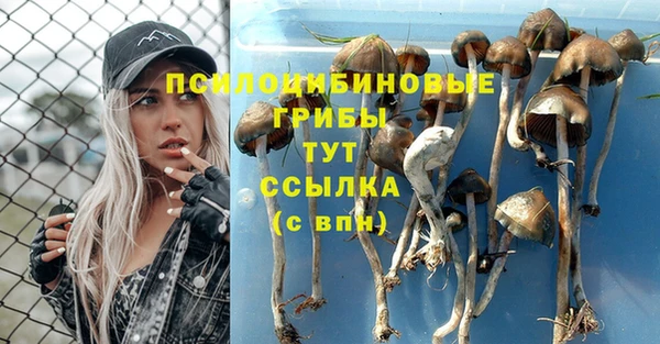 гидра Козельск