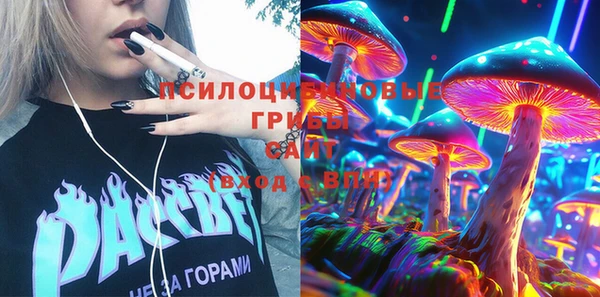 гидра Козельск