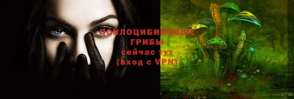 гидра Козельск