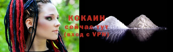 молекула духа Козловка