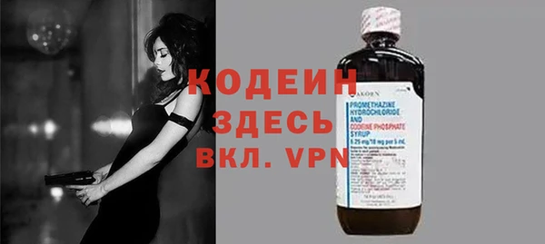 молекула духа Козловка