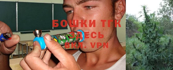 молекула духа Козловка
