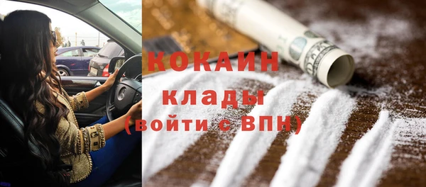 молекула духа Козловка
